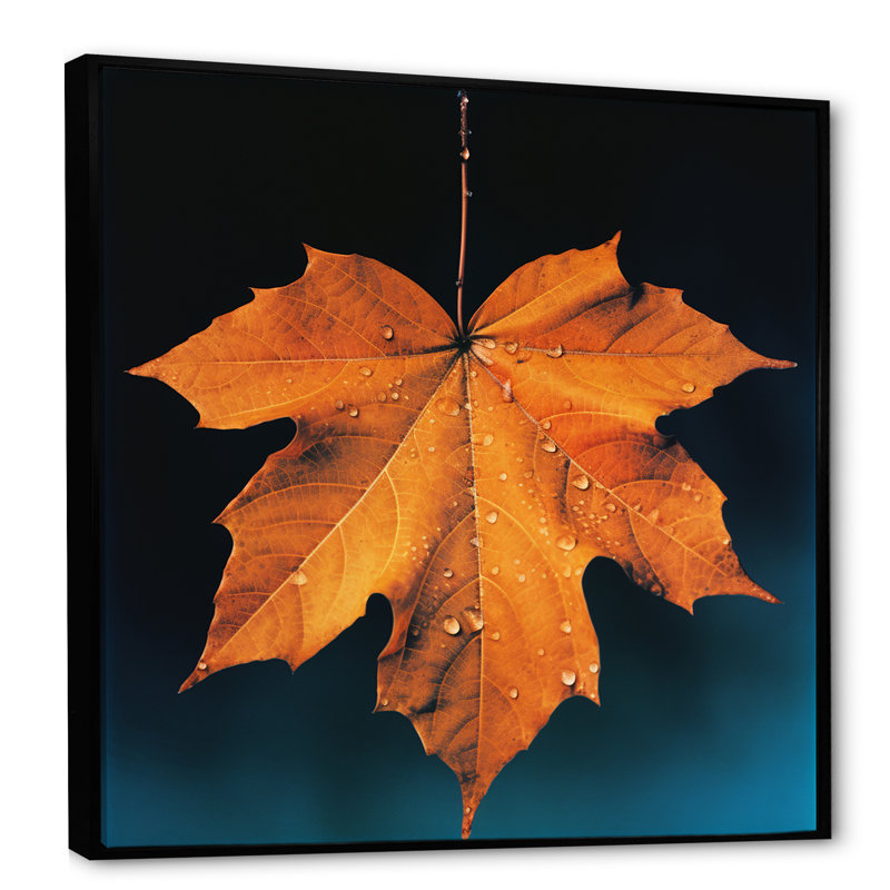 Feuillage tangerine orange érable translucide I, Cadre flottant noir, H 30 po x l 30 po x P 1 po