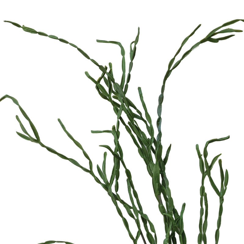 Faux cactus, vert