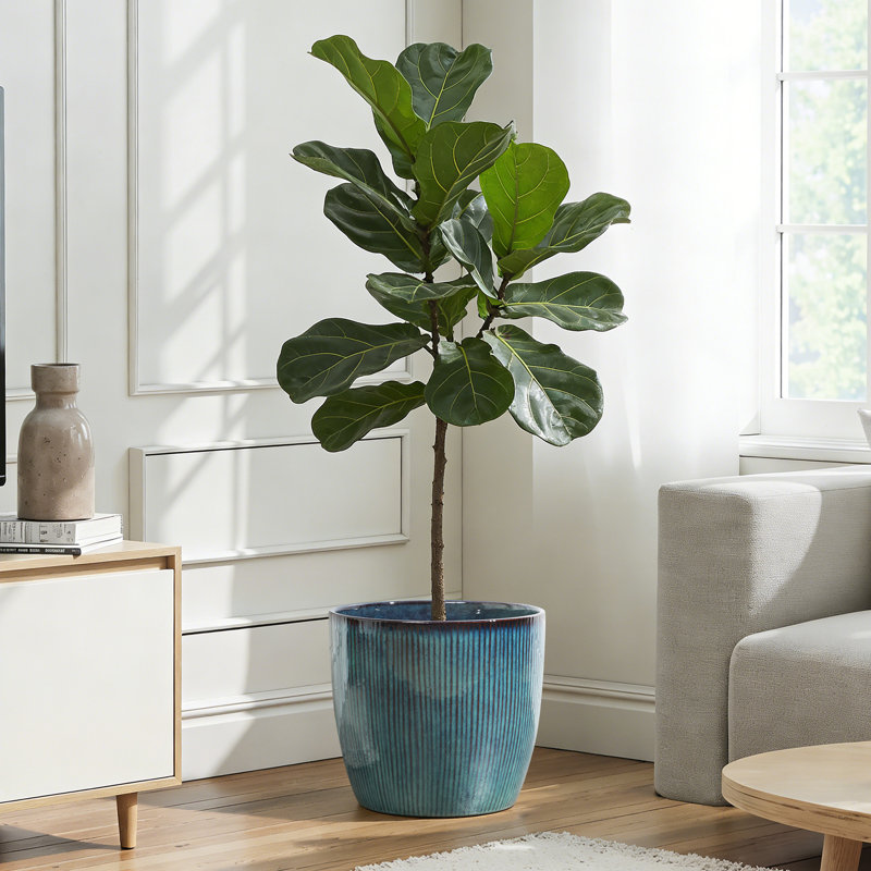 15'' Dia Large Round Plant Pots with Vertical Line Texture, Modern Blue Ceramic Planter, 13.39" H x 14.96" Diameter