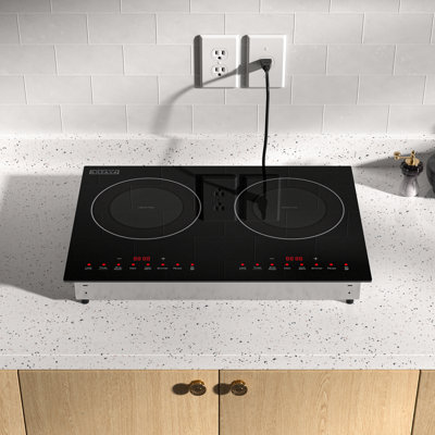 Élément chauffant portatif 20 po Empava, 1800 W, surface de cuisson à induction intégrée, 120 V 