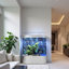 Aquarium Minimalist-2010380807-2034404514