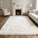 Soft Plush White Shag Area Rug, Modern Cozy Carpet for Living Room and Bedroom
