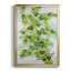 Ivy Premium, reproduction encadrée prête à être accrochée-88261728-88261727