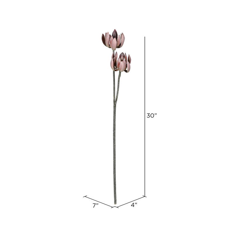 Vaporisateur Echevria