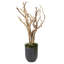 Faux Succulent Plant in Planter