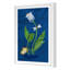 Spotted Tulip 3 (Orange) Print by Dana Gibson-1929756346-1929756345