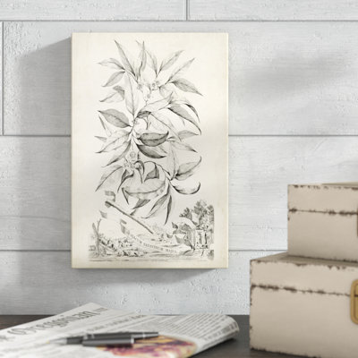 «Scenic Botanical IV», impression sur toile