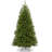 North Valley Spruce Tree-1188237920