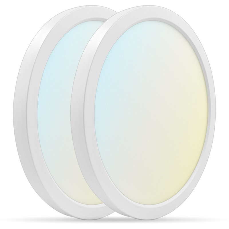 LED Flush Mount