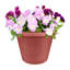 Jardinière classique en plastique 12 po Latitude Terra Cotta (lot de 6)