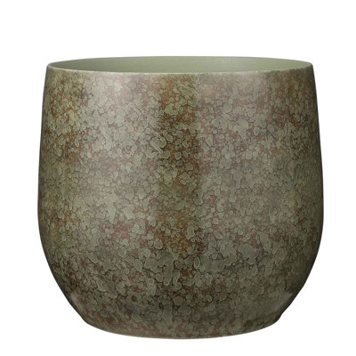 Oliver Pot Round 