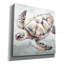  «Cape Cod Turtle» par Nicole DeCamp, art mural sur toile, 18 po x 18 po