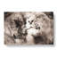 Pair Of Loving Lions - Wrapped Canvas-55311331