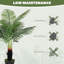 120cm Plant