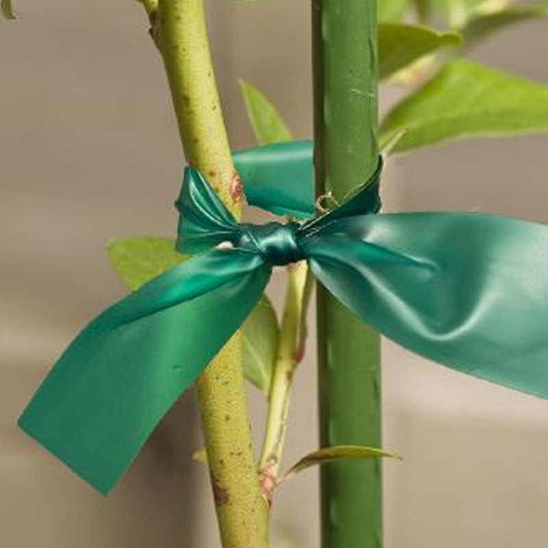 Support pour plante solide et extensible