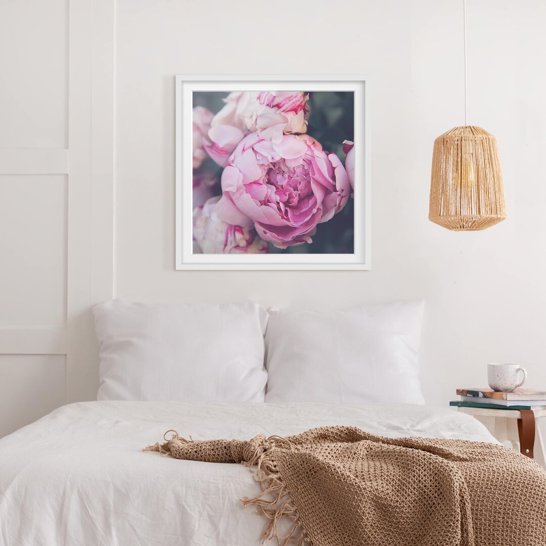 Gerahmter Fotodruck Peony Flower Shabby