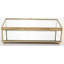 Glass Jewelery Box +