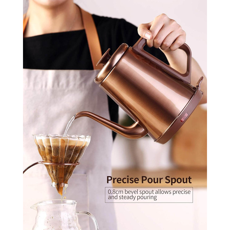 Basowin Gooseneck Electric Kettle(1.0L),1000W Electric Tea Kettle Of 304 Stainless Steel,Auto Shut Off,Coffee Kettle For Pour Over And Tea