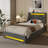 Upholstered Platform Bed Frame with Wingback Headboard & LED Lights& 4 Storage Drawers-966201849-966201853
