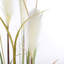 Faux Pampas Grass Grass in Pot-93756716