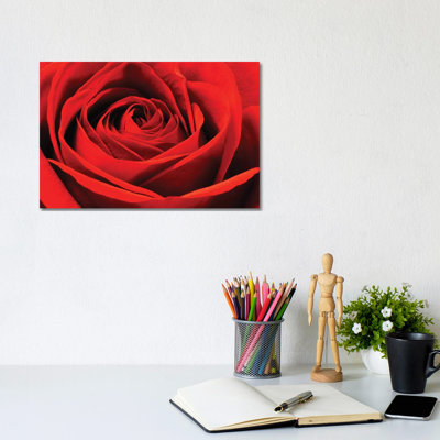 Red Rose 1 Piece Wrapped Canvas Wall Art