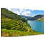 Douro, vallée de la vigne-107923704