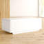 Theresa Coffee Table with Storage-25293510