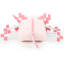 Coussin de niveau Axolotl Minecraft