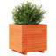 Bhavika Planter Box-1814111158-1814111146
