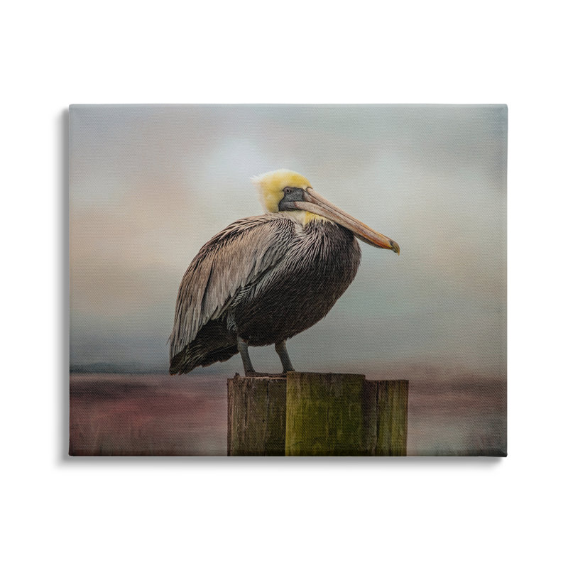 «Pelican Perché Wildlife Nature» par Kelley Parker, impression sur toile tendue, H 36 po x l 48 po x P 1,5 po