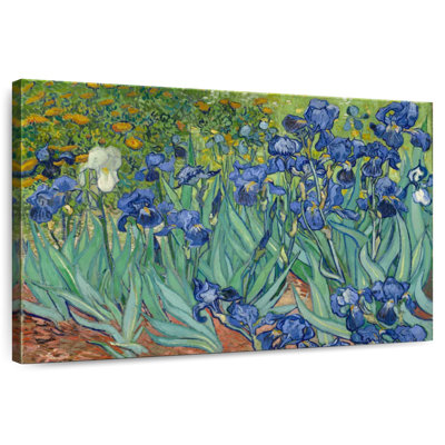 Harnek Irises 1889