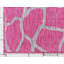 Tapis d'extérieur joyeux couleur bonbon-170360218