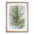 Oak Framed selected