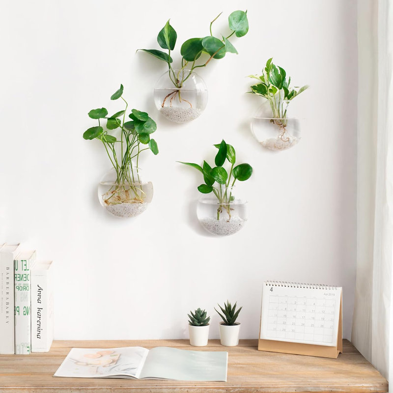 Wall Hanging Propagation Vases Set, 2