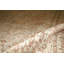 Wool Oriental Area Rug in Beige