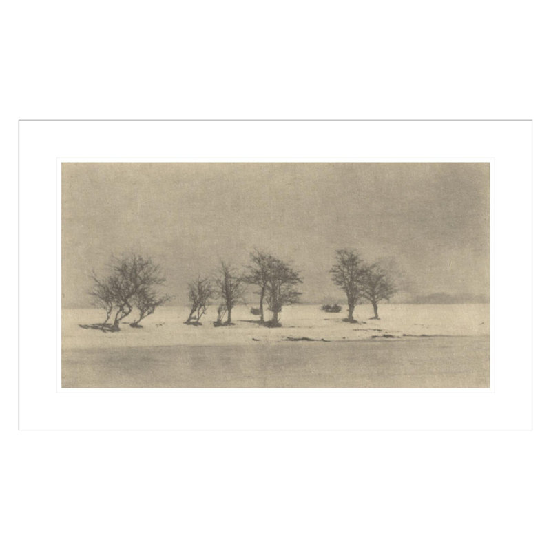 «Gnarled-Thorn Trees» par Peter Henry Emerson - impression giclée encadrée, H 18,59 po x l 29,5 po