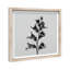 Ossified Petals I Shadowbox Floral & Botanical Print by Oliver Gal, Black Frame, 12 x 12-2919524-2919522