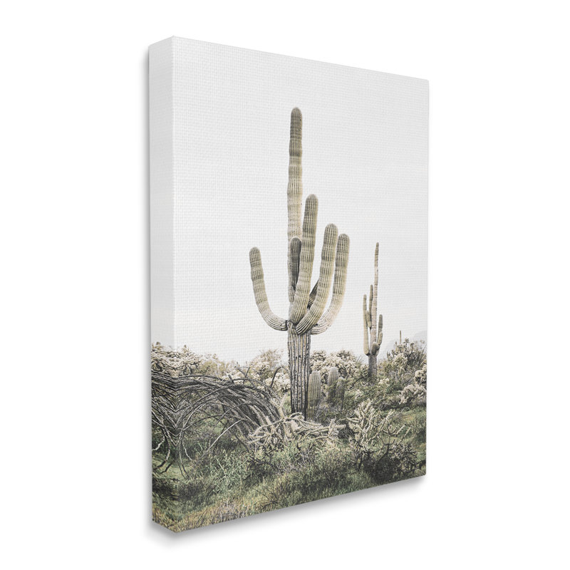 «Stupell Industries Desert Landscape Cacti», art mural sur toile par Sissi et Seb, H 40 po x l 30 po x P 1,5 po