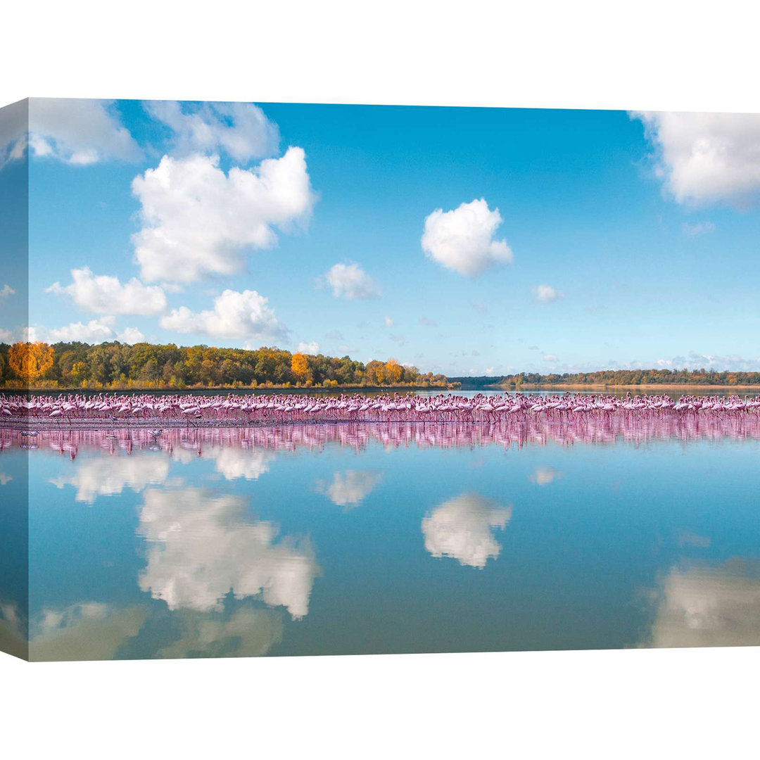 Flamingos Reflektion, Camargue, Frankreich von Pangea - Leinwand Kunstdrucke