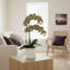 Double Orchid Arrangement-248080728