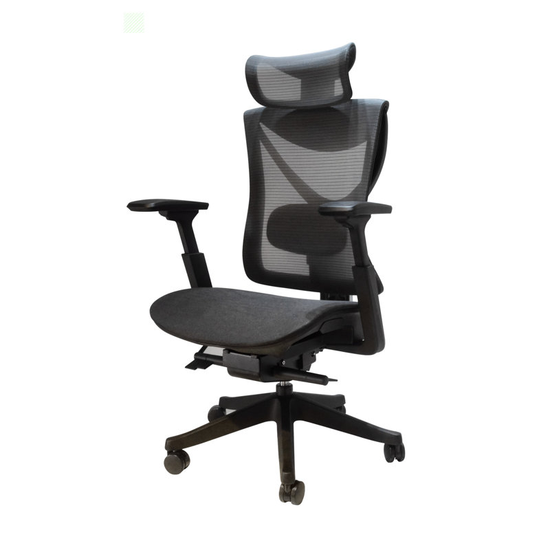 Hokku Designs Radoy Task Chair