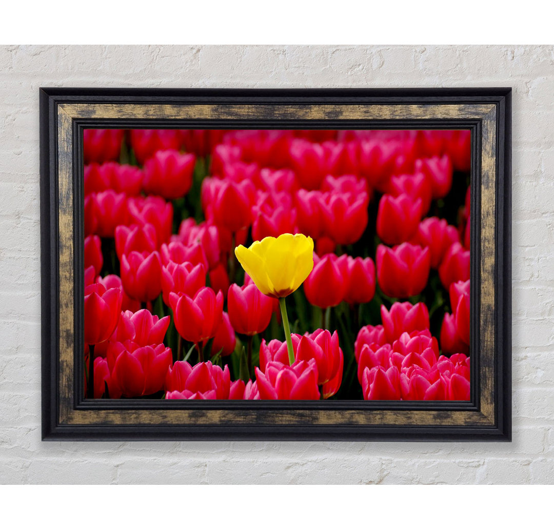 Tulpen Strenth Gerahmter Druck