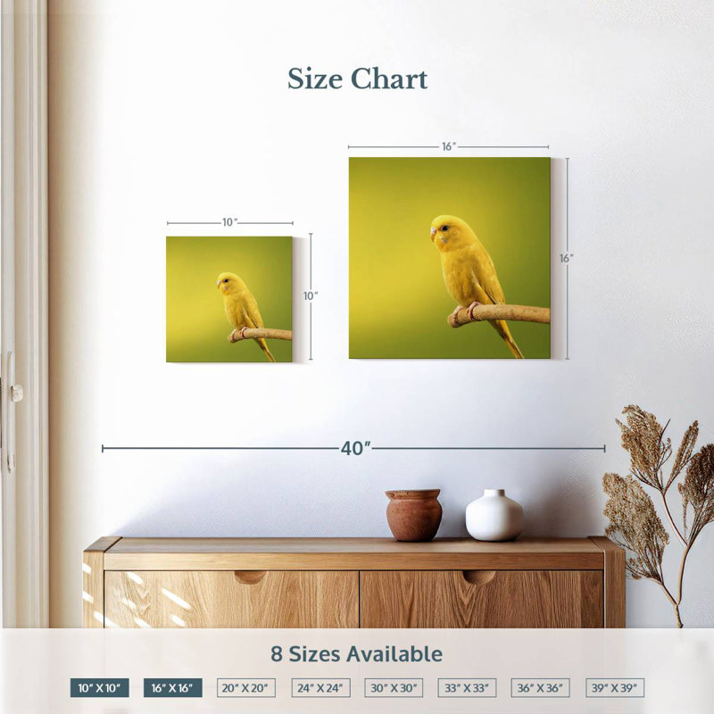 Brampt Perched Yellow Parakeet, 16" H x 16" W