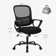 Drusilla Ergonomic Mesh Task Chair