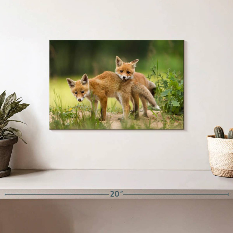 Brampt Fox Kits, 8" H x 12" W