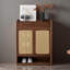 Armoire à chaussures American-1842078812
