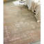 Oriental Area Rug in Gold-72345283