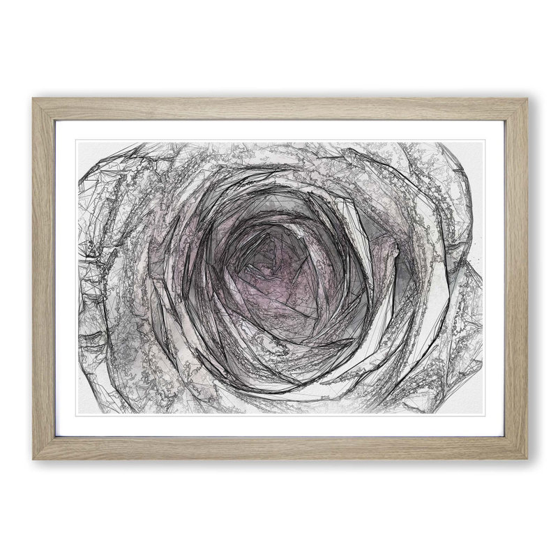 A Pale Pink Rose in Abstract - Picture Frame Graphic Art Print, Oak Framed, 36cm H x 48cm W x 2cm D