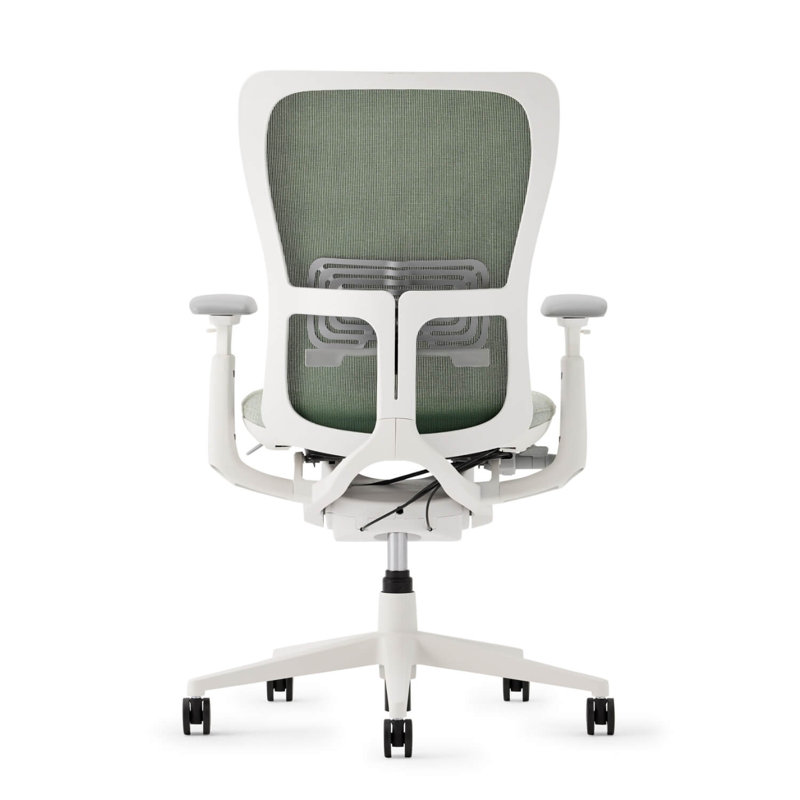 Haworth Zody Mesh Office Chair - Dual Posture with Lumbar Support, Balsam