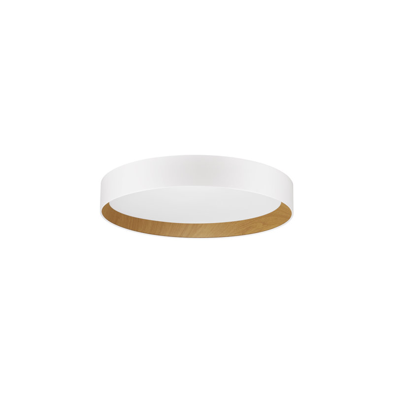 Derwyn LED Flush Mount